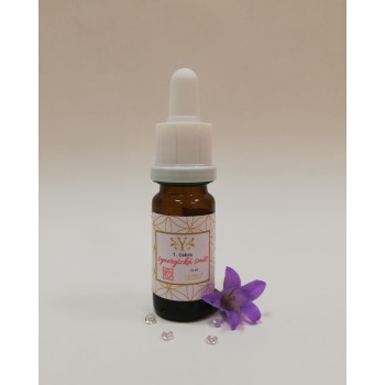 First chakra essence oil, 10ml