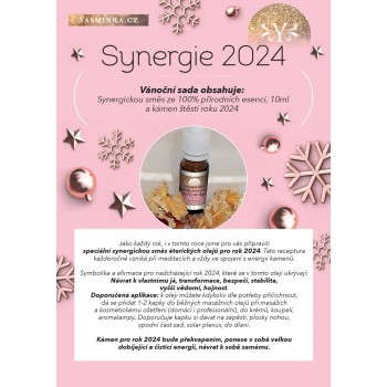 SYNERGIE 2024