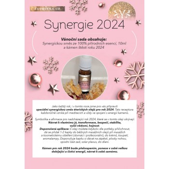 SYNERGY 2021