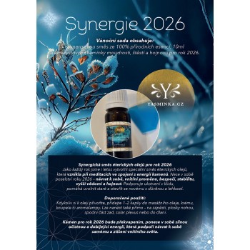 copy of SYNERGIE 2025
